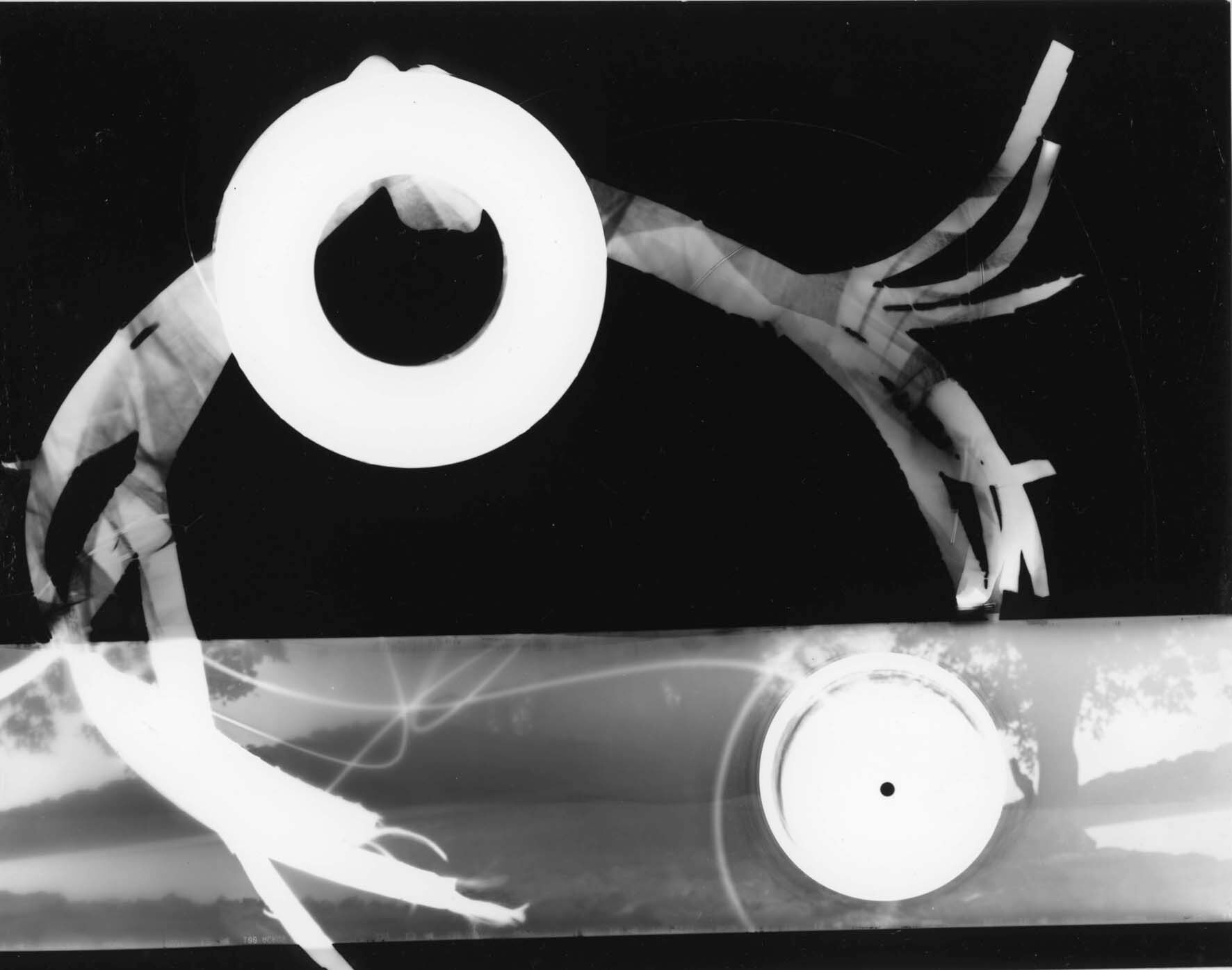 photograms from the River Series Honours