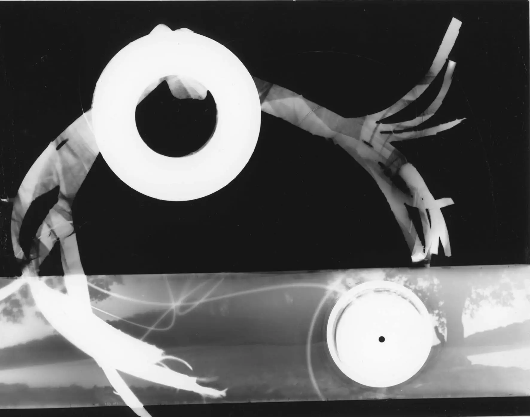 photograms from the River Series Honours