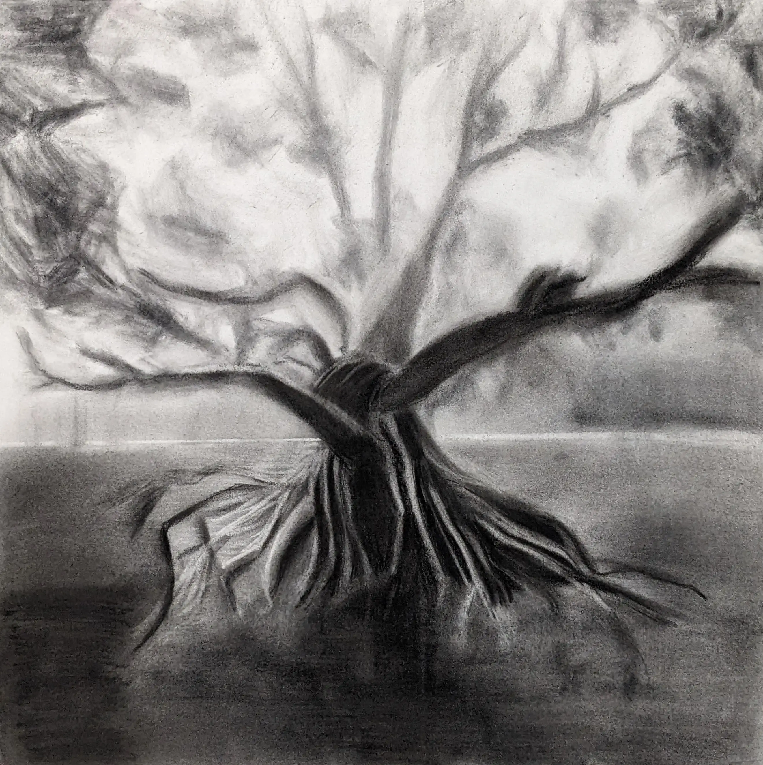 I cannot draw trees and AI does not understand plant structures