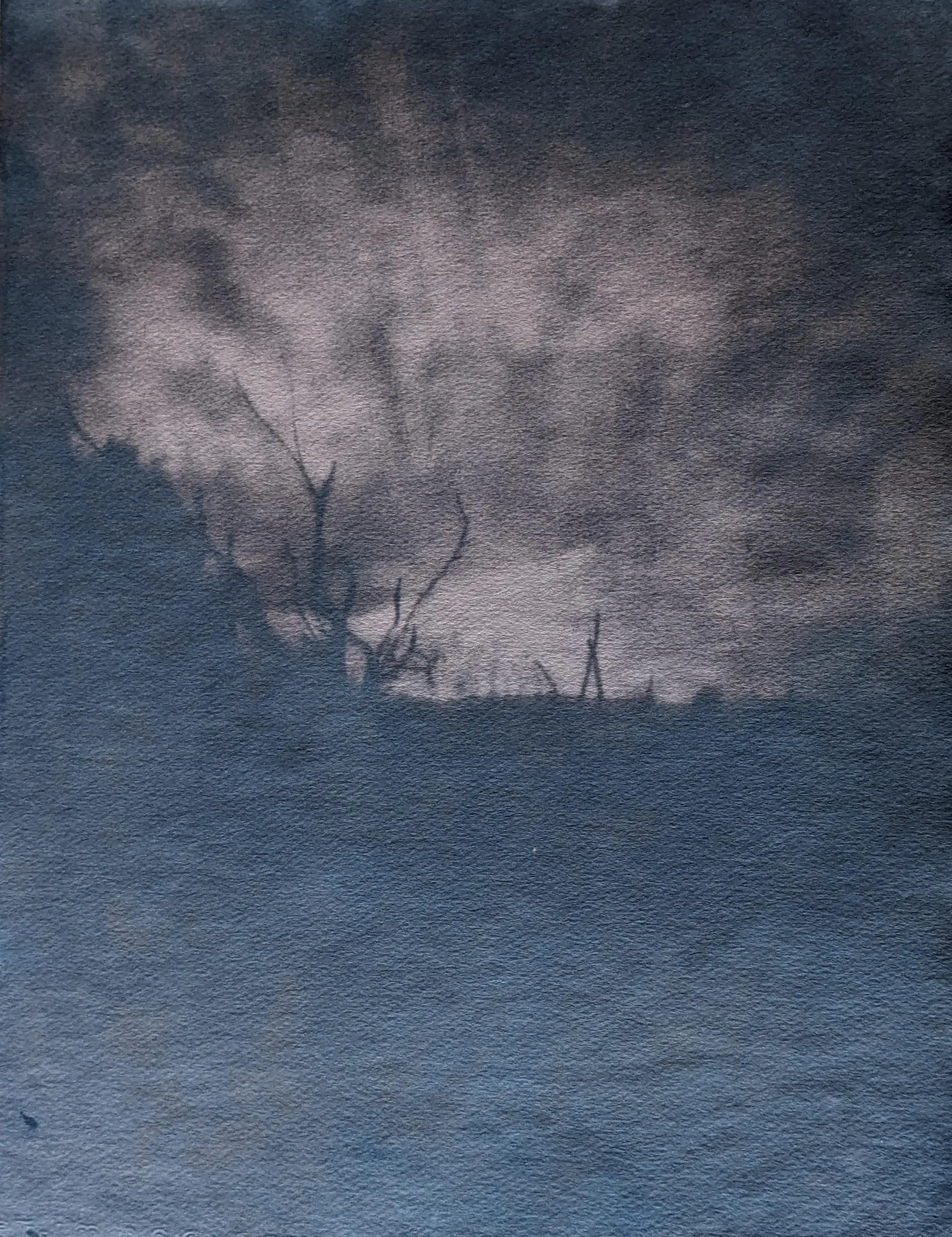 toned cyanotype landscape