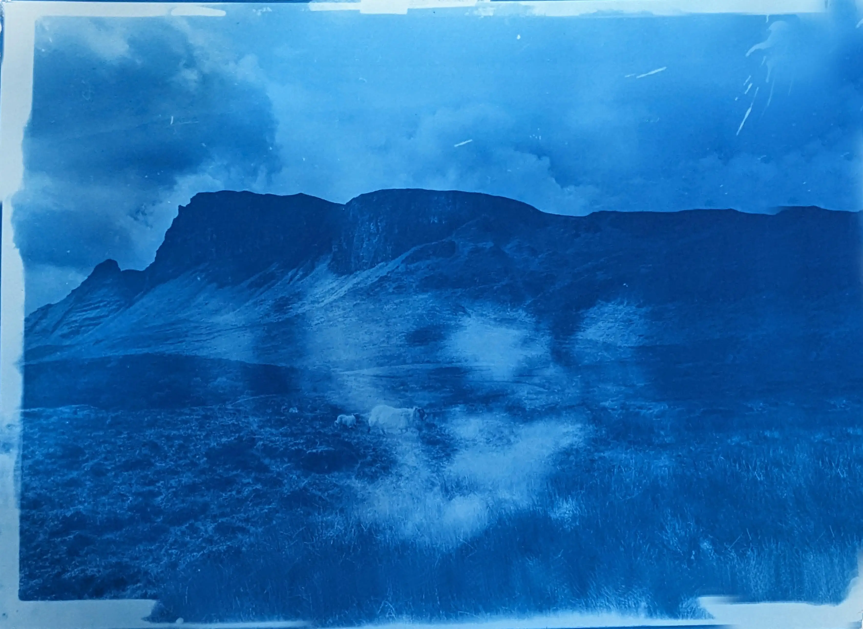 Mountain Series The Sky is Falling 11 Sheep regular cyanotype