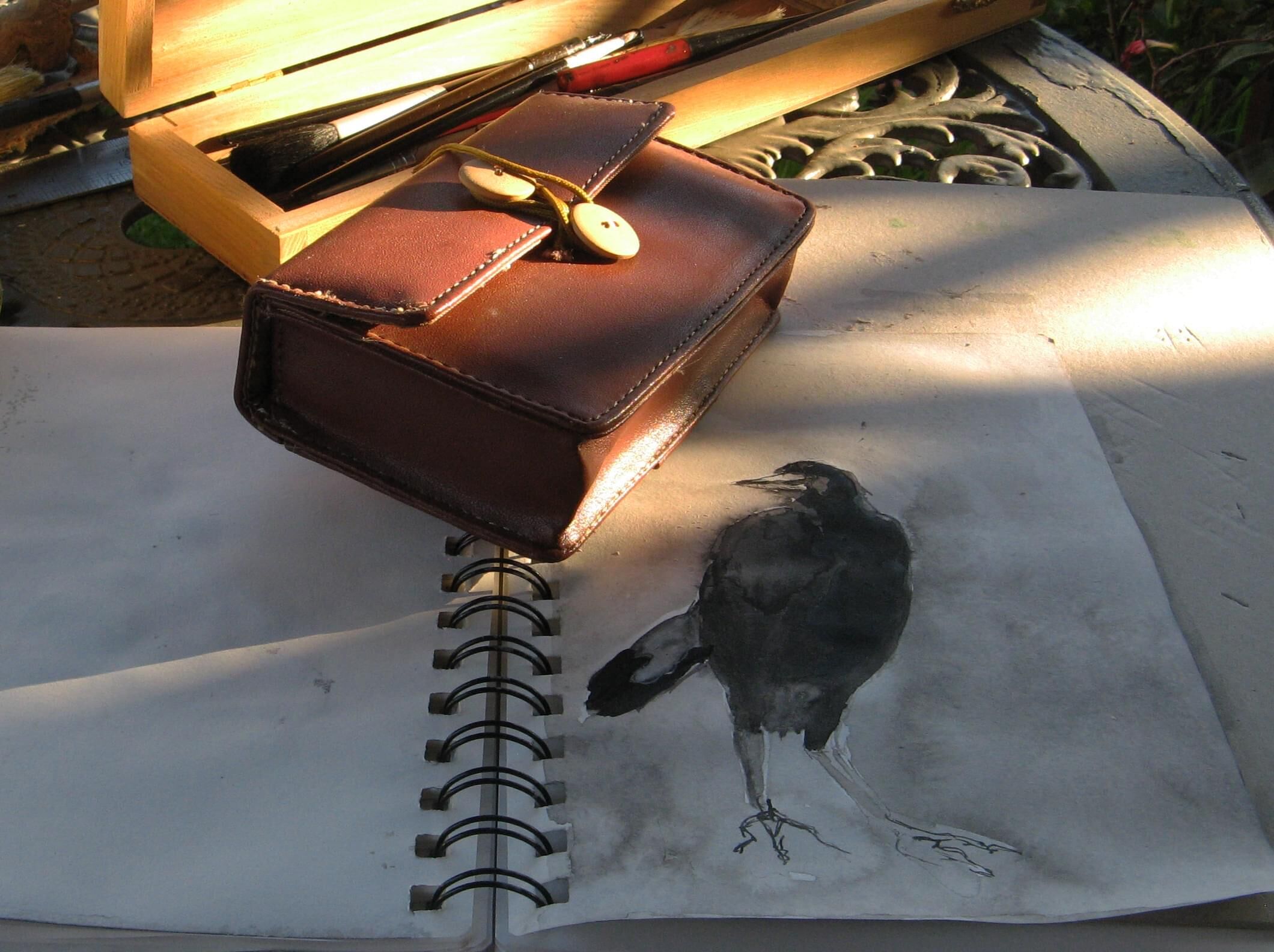 drawing magpies when my thumb joint was recreated