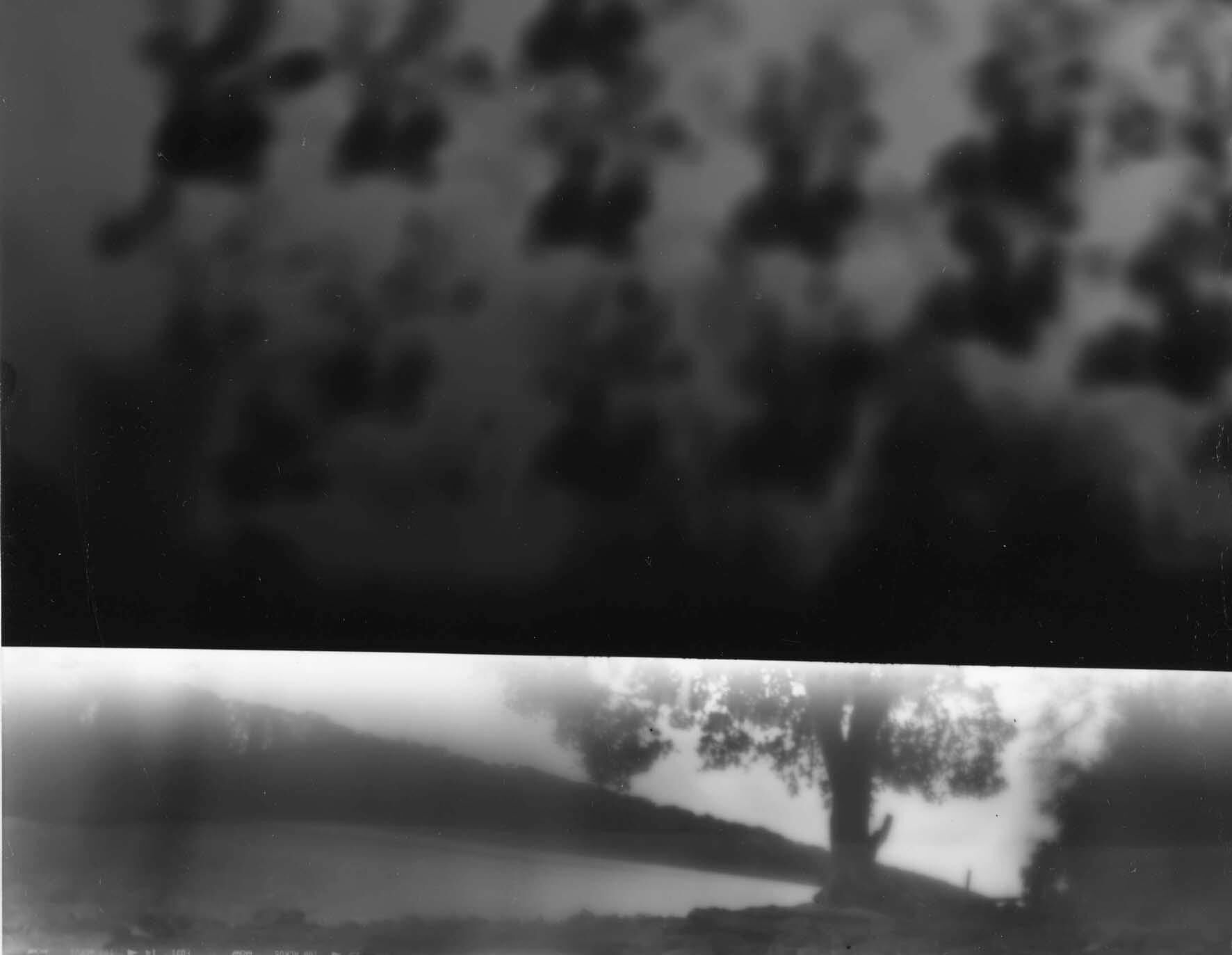 river and glove photogram