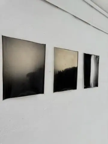 8799175124962026362(1)