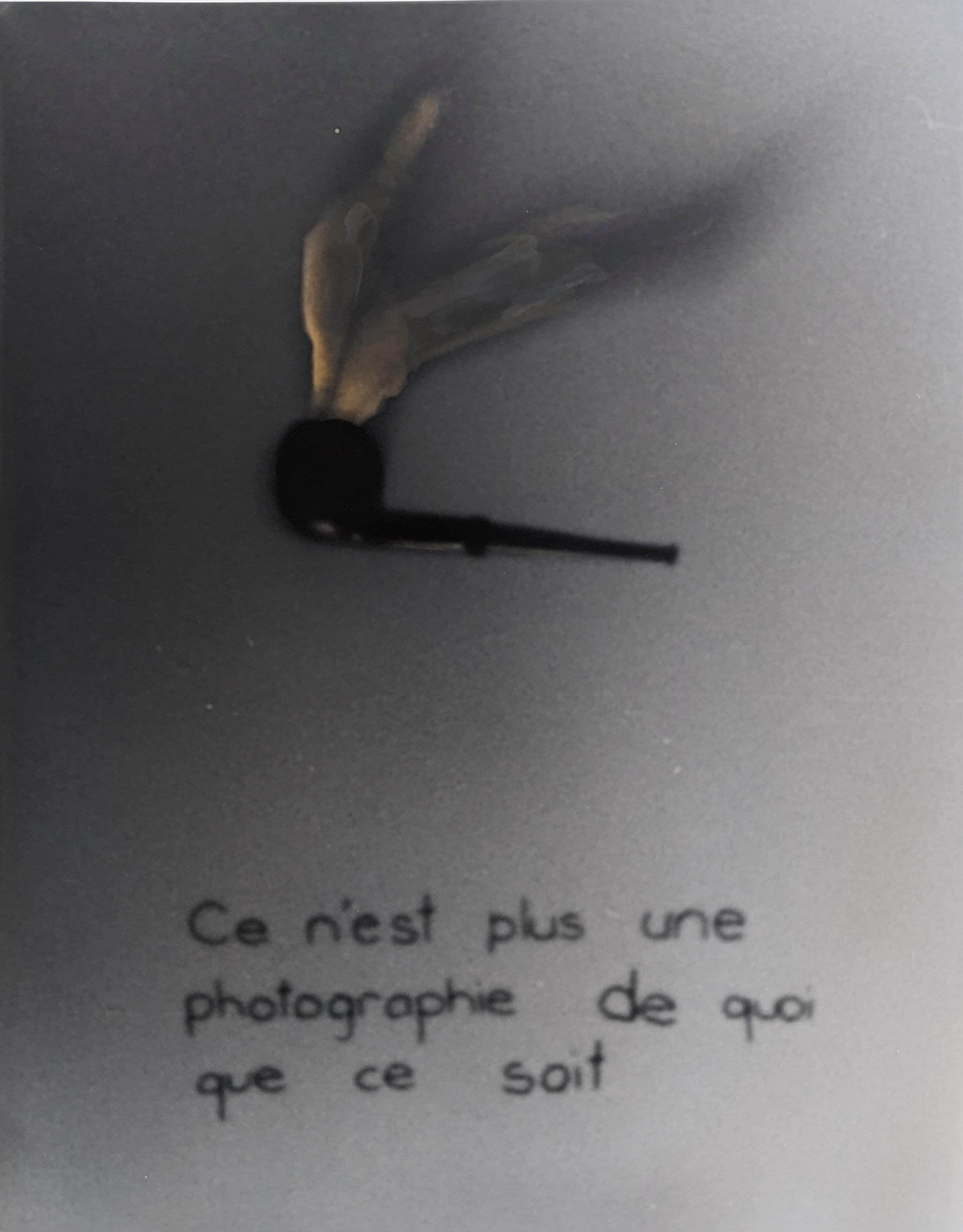Magritte 16 20