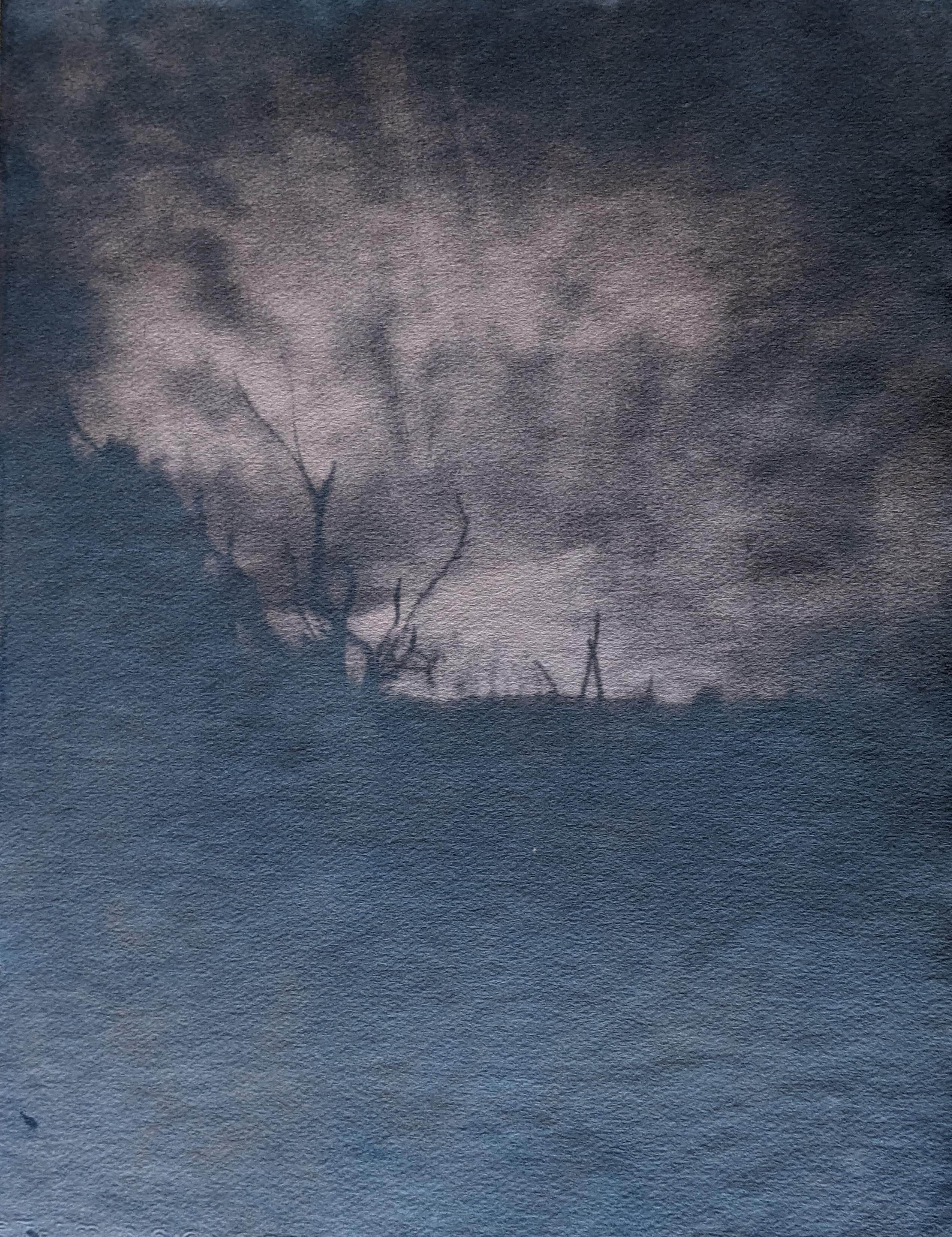 toned cyanotype landscape