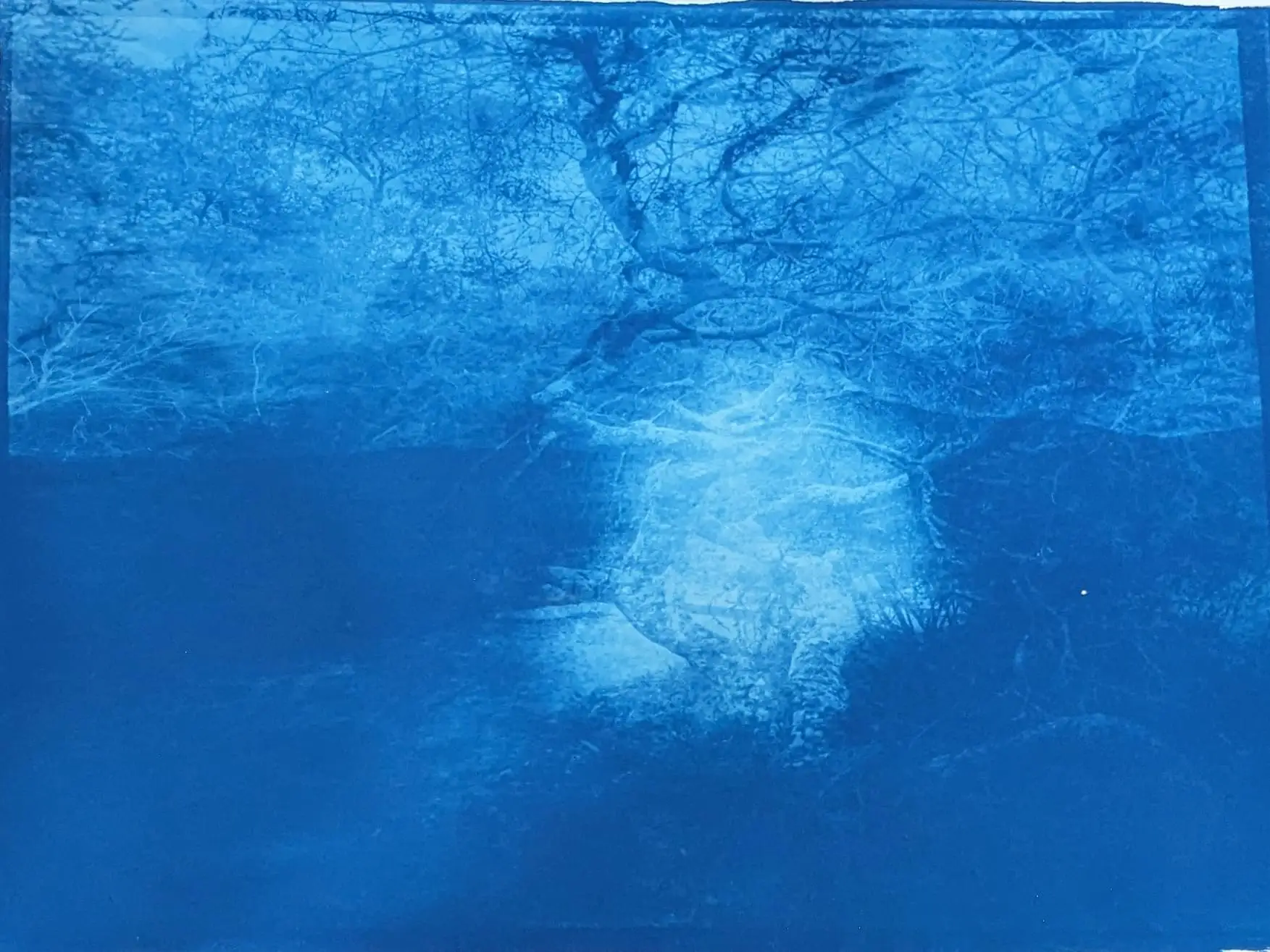 Mountain Series The Sky is Falling 111