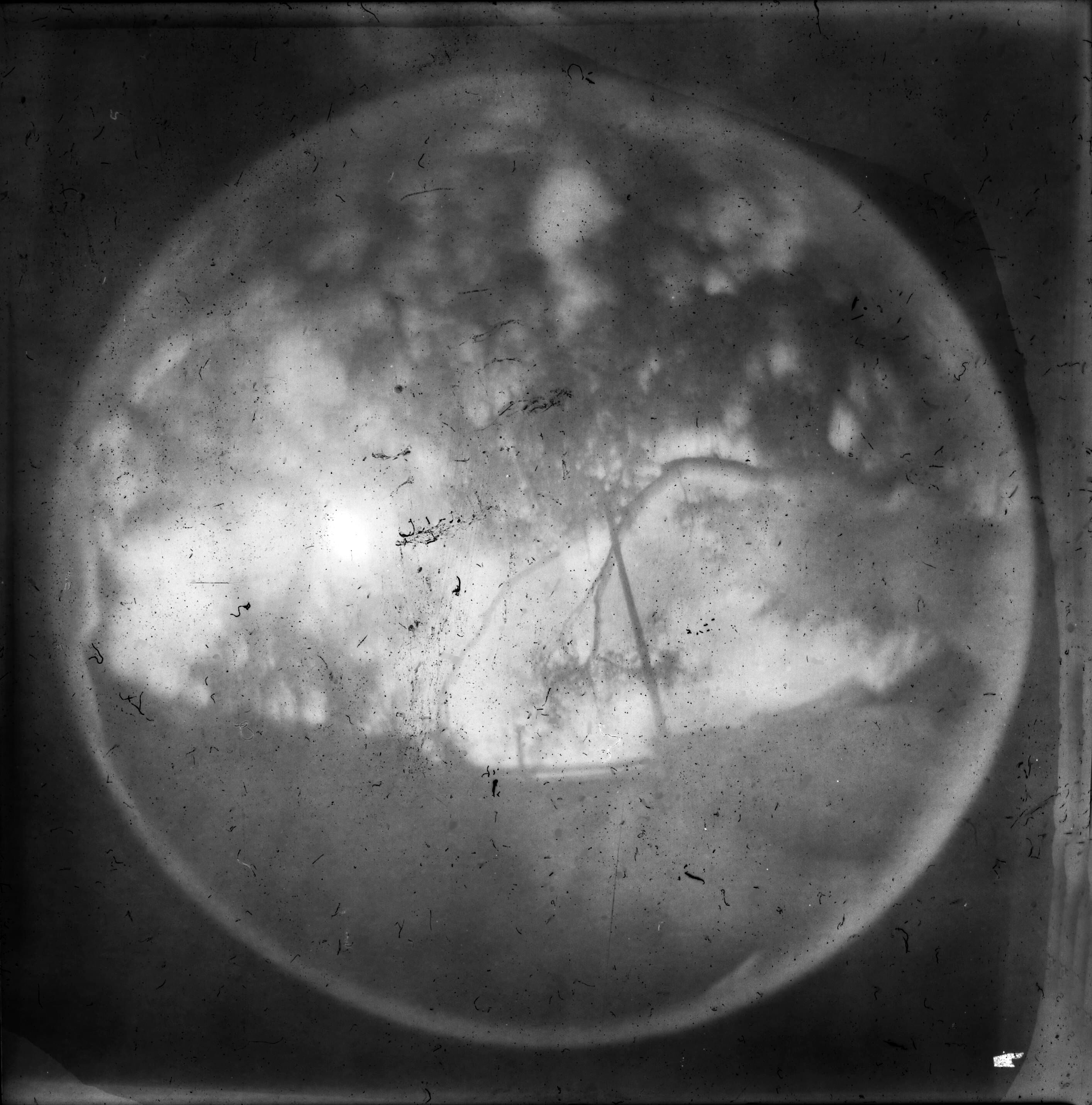 little pinholes 3