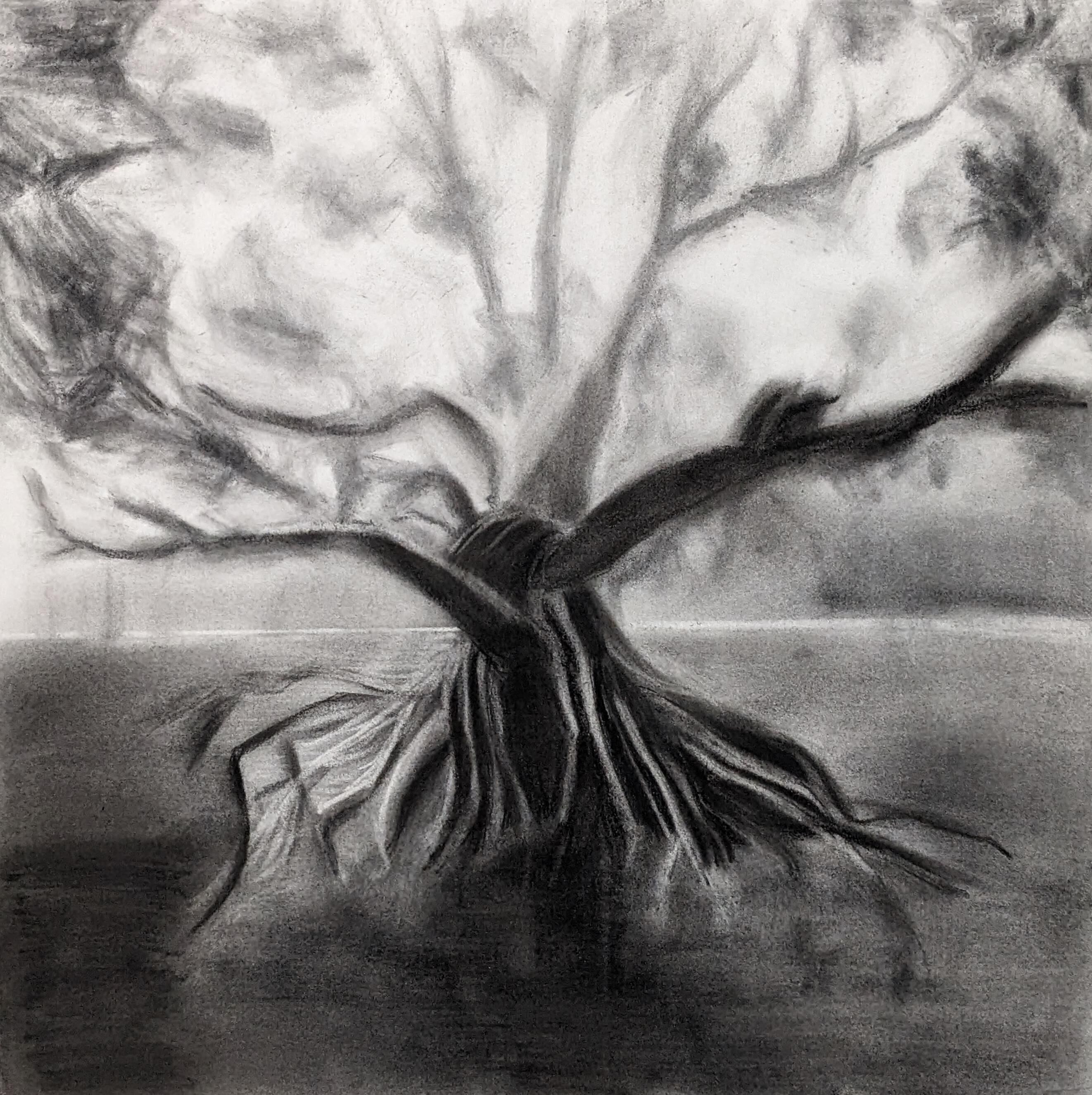 I cannot draw trees and AI does not understand plant structures