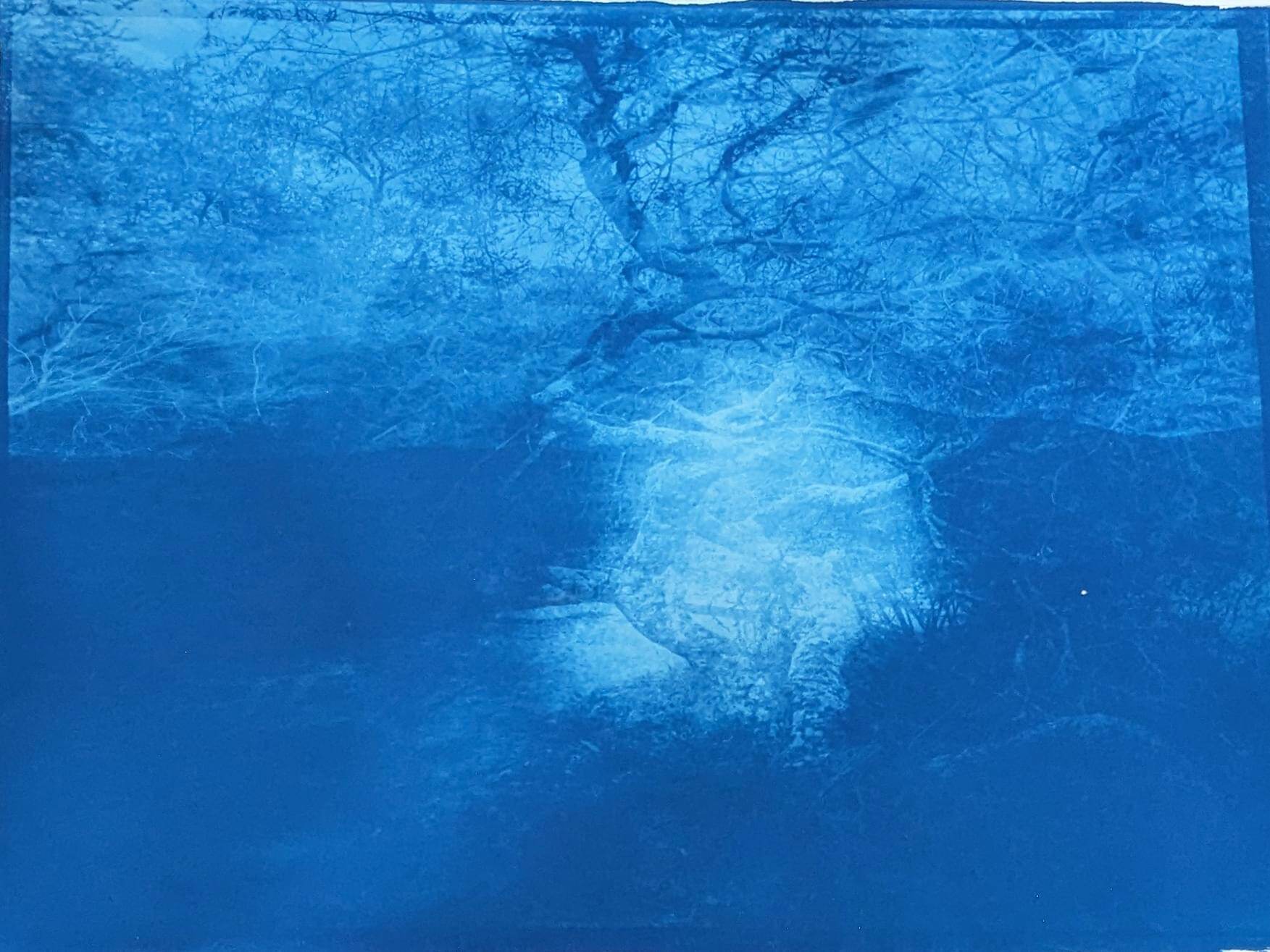 Mountain Series The Sky is Falling 111