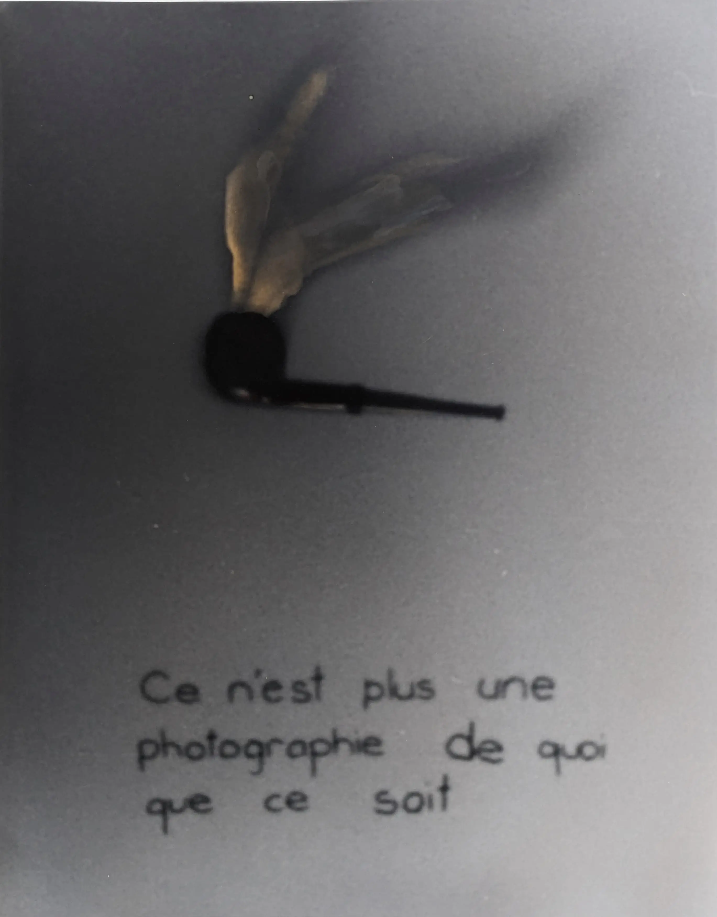 Magritte 16 20