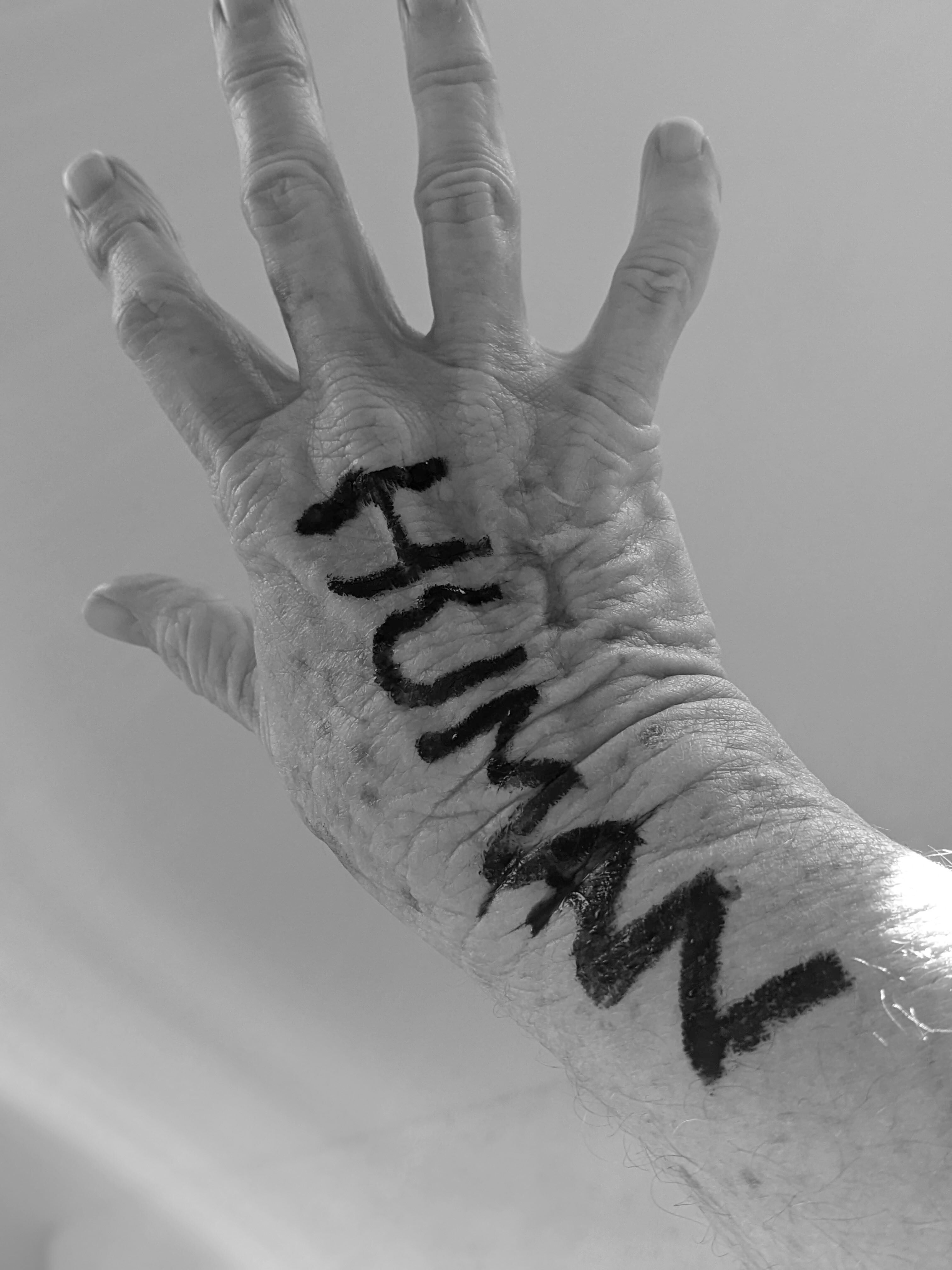 human hand  bw