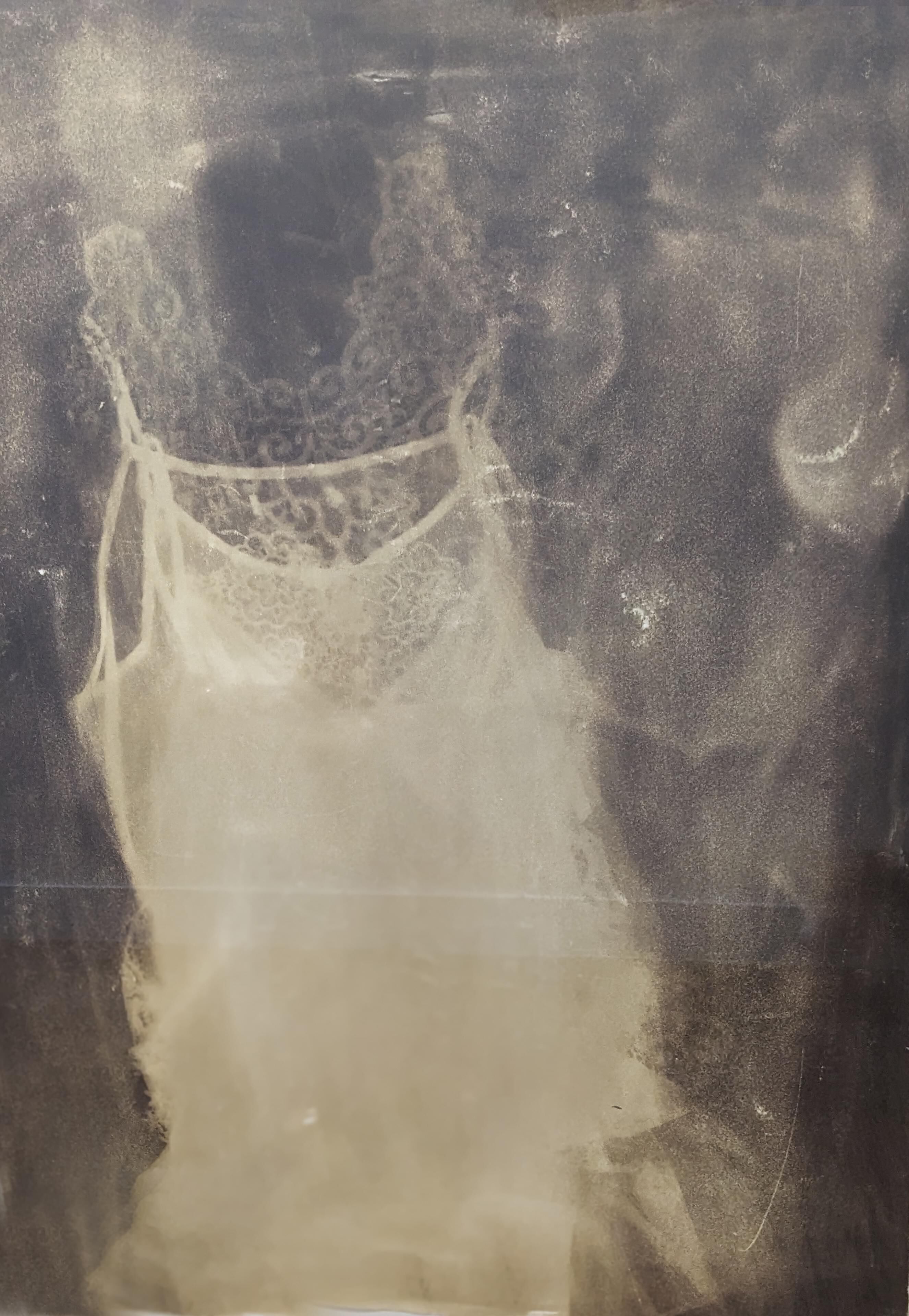 argyrotype walking with the unknown series