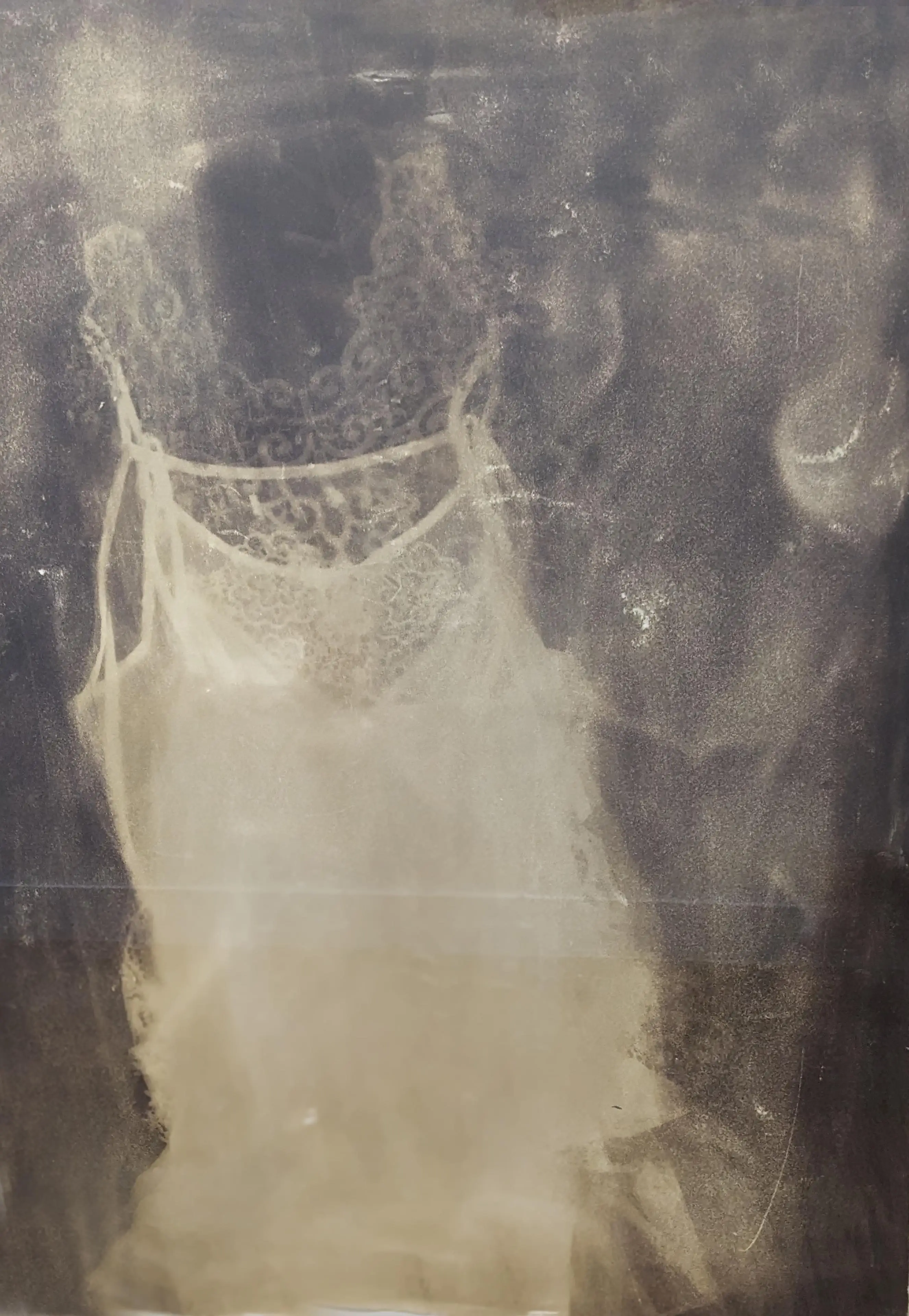 argyrotype walking with the unknown series